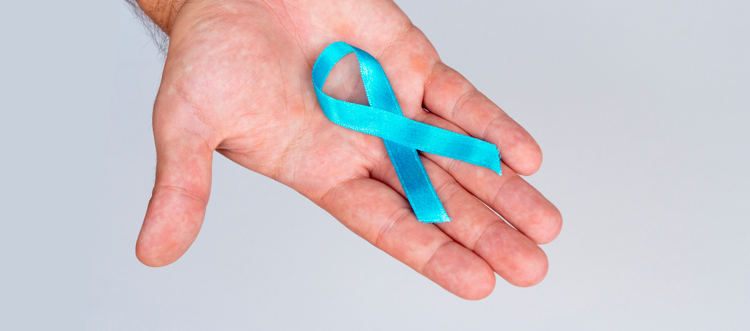 Novembro-Azul-Owl-interativa